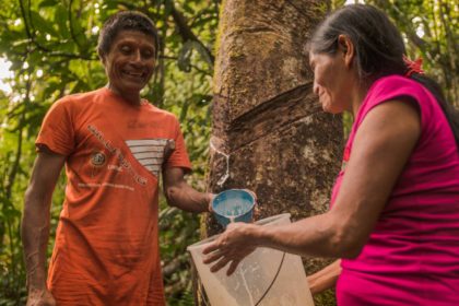 Día Mundial del Medio Ambiente : « La Amazonía que queremos sí existe »