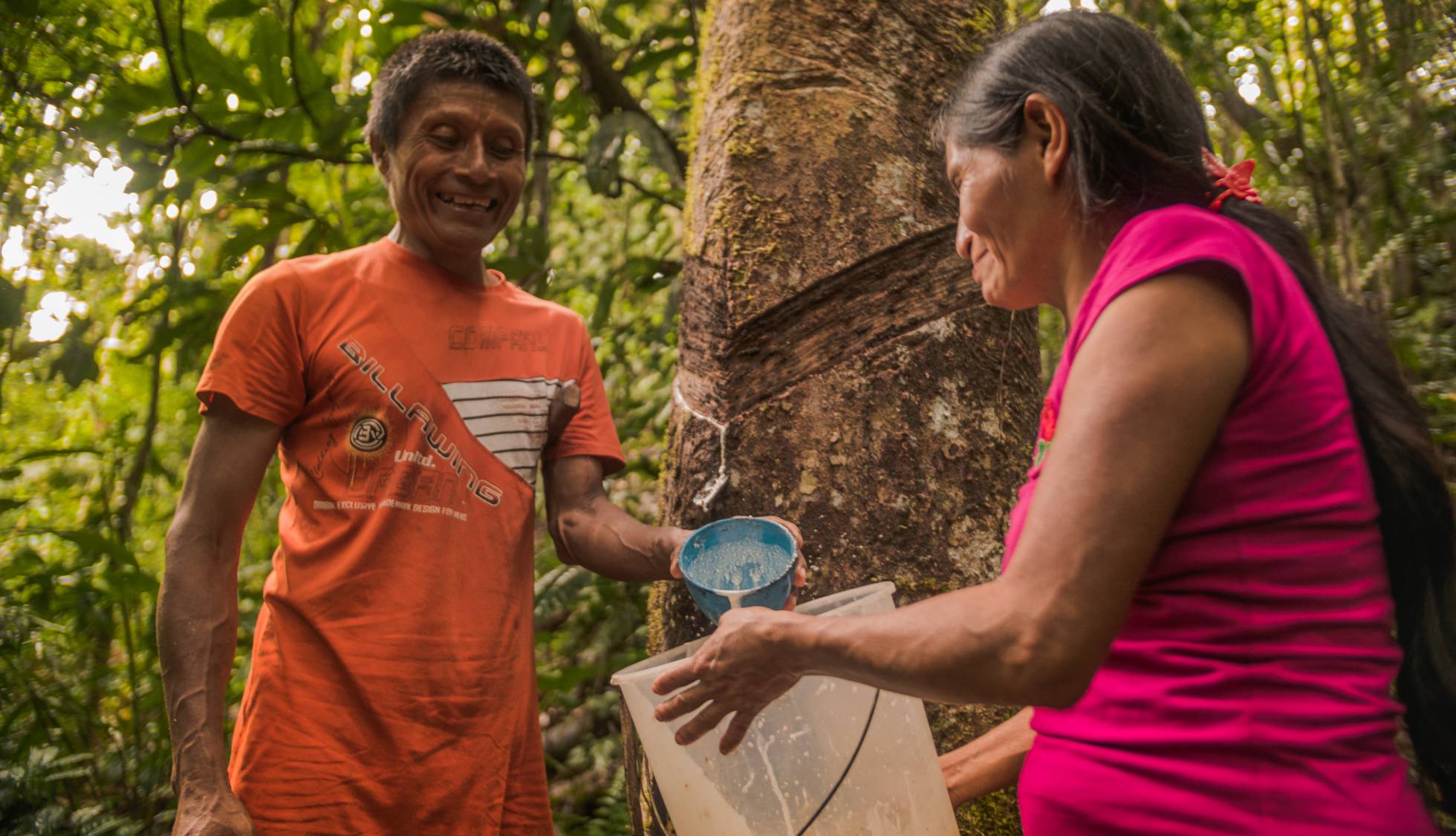 Día Mundial del Medio Ambiente : « La Amazonía que queremos sí existe »